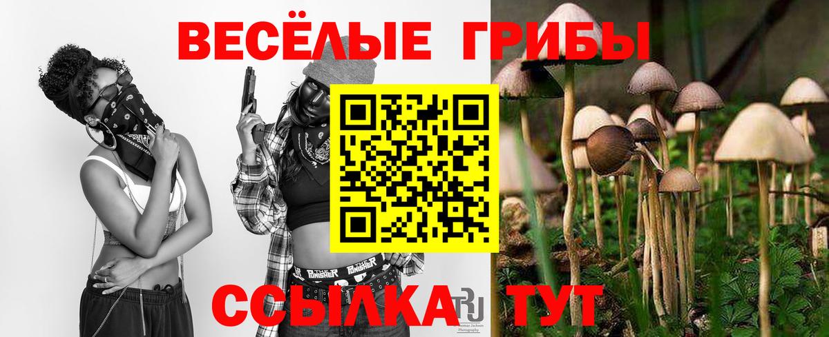 Галлюциногенные грибы мухоморы  Галлюциногенные грибы Psilocybe  Вход с VPN  Спасск-Дальний 