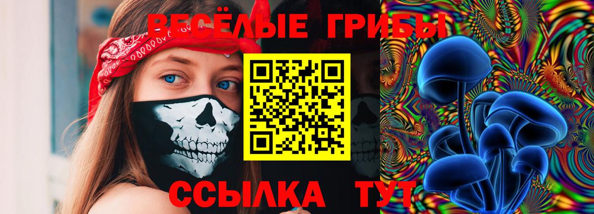 Псилоцибиновые грибы мухоморы Спасск-Дальний